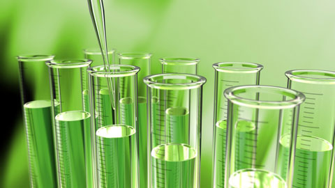 Nature Science,Technology Science,Social Science,Language Science,Science News,Science,Biology,Physics